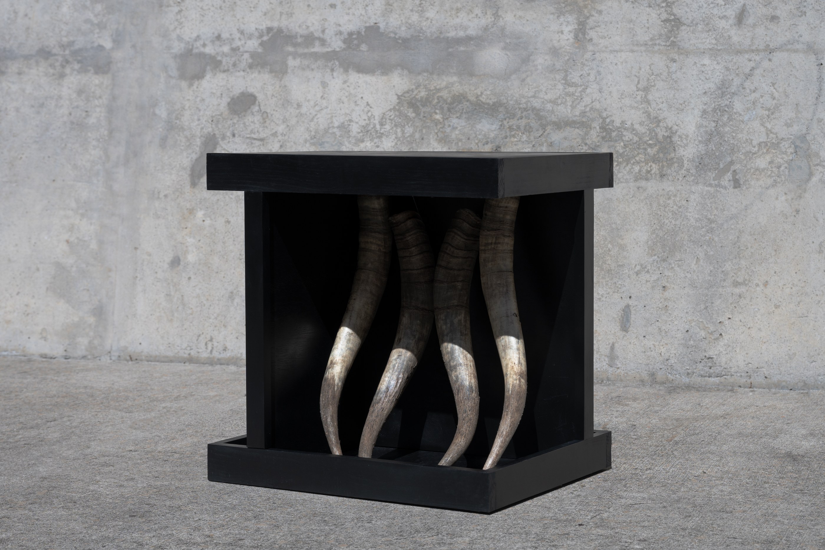 Watusi Horn Table, photograph 1