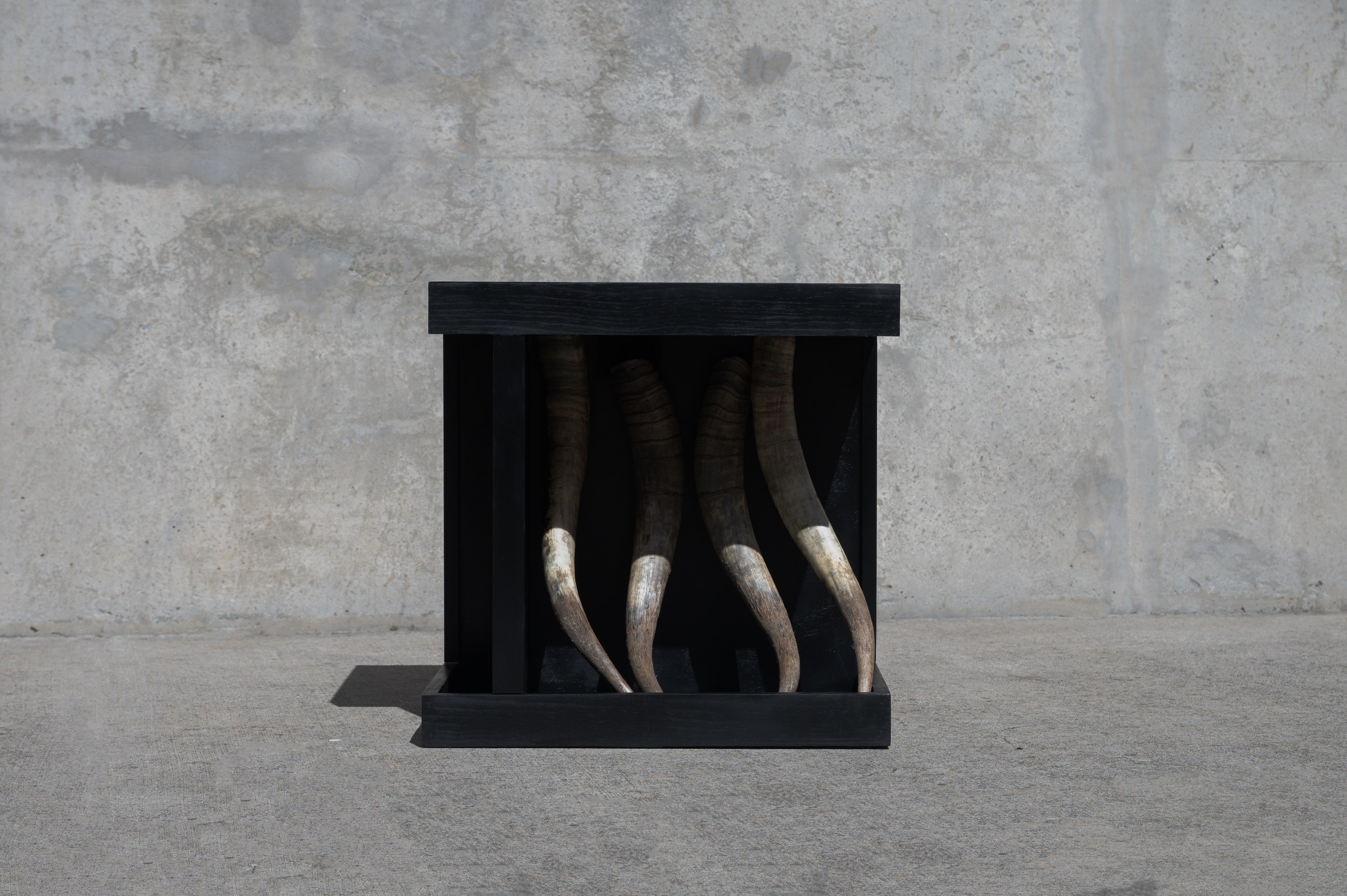 Watusi Horn Table, photograph 2
