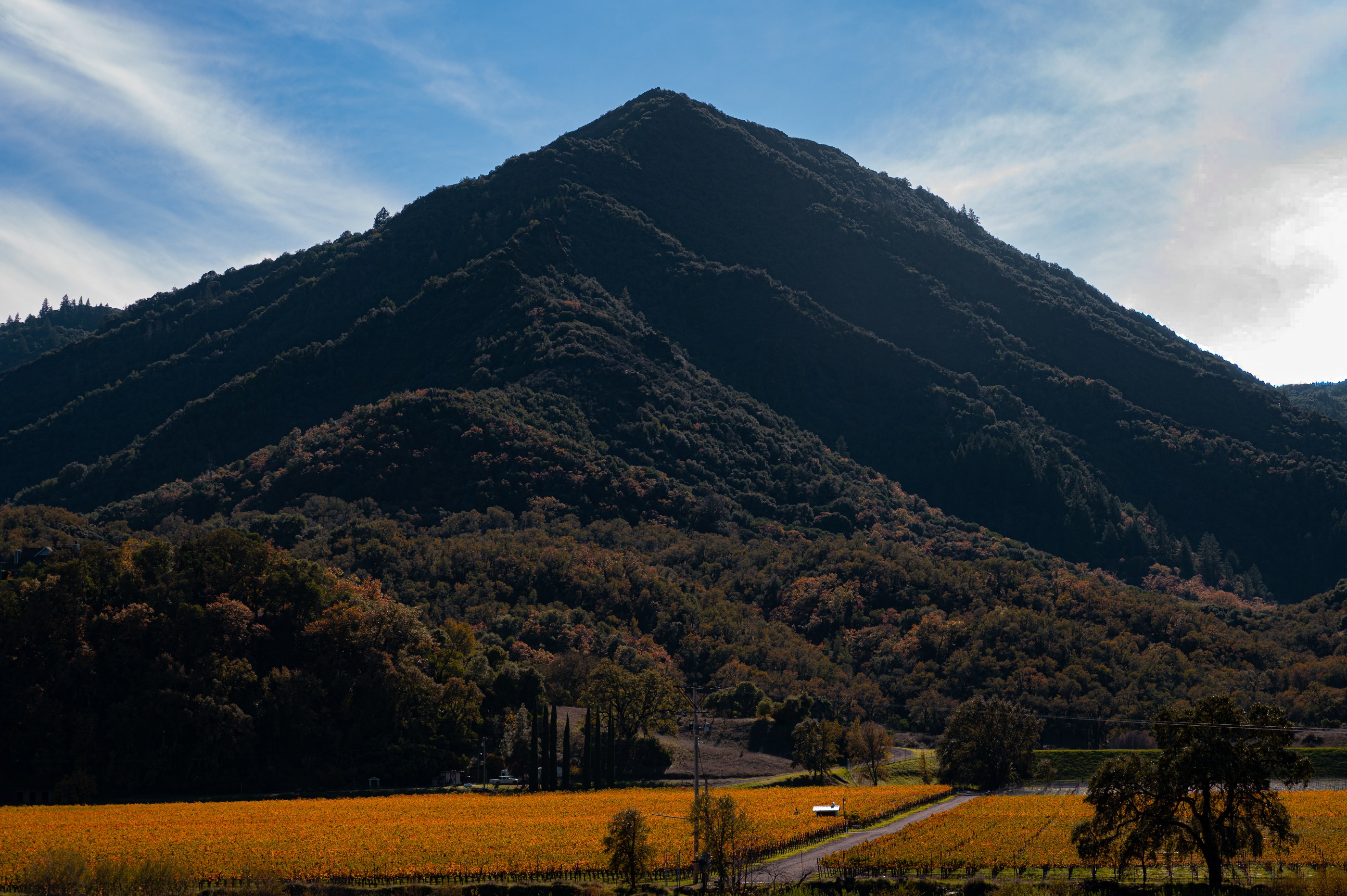 Landscapes, photograph 3