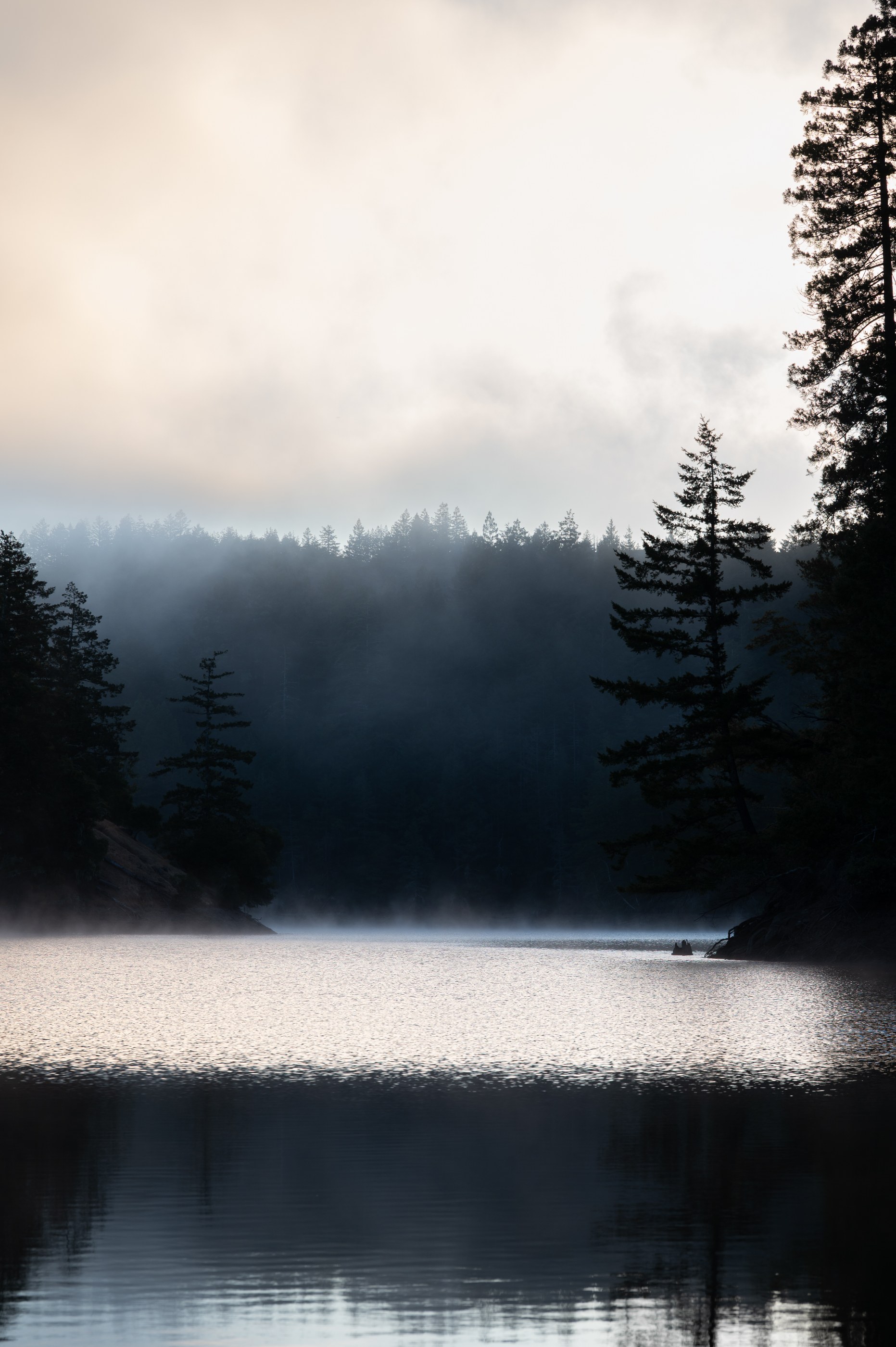 Landscapes, photograph 1