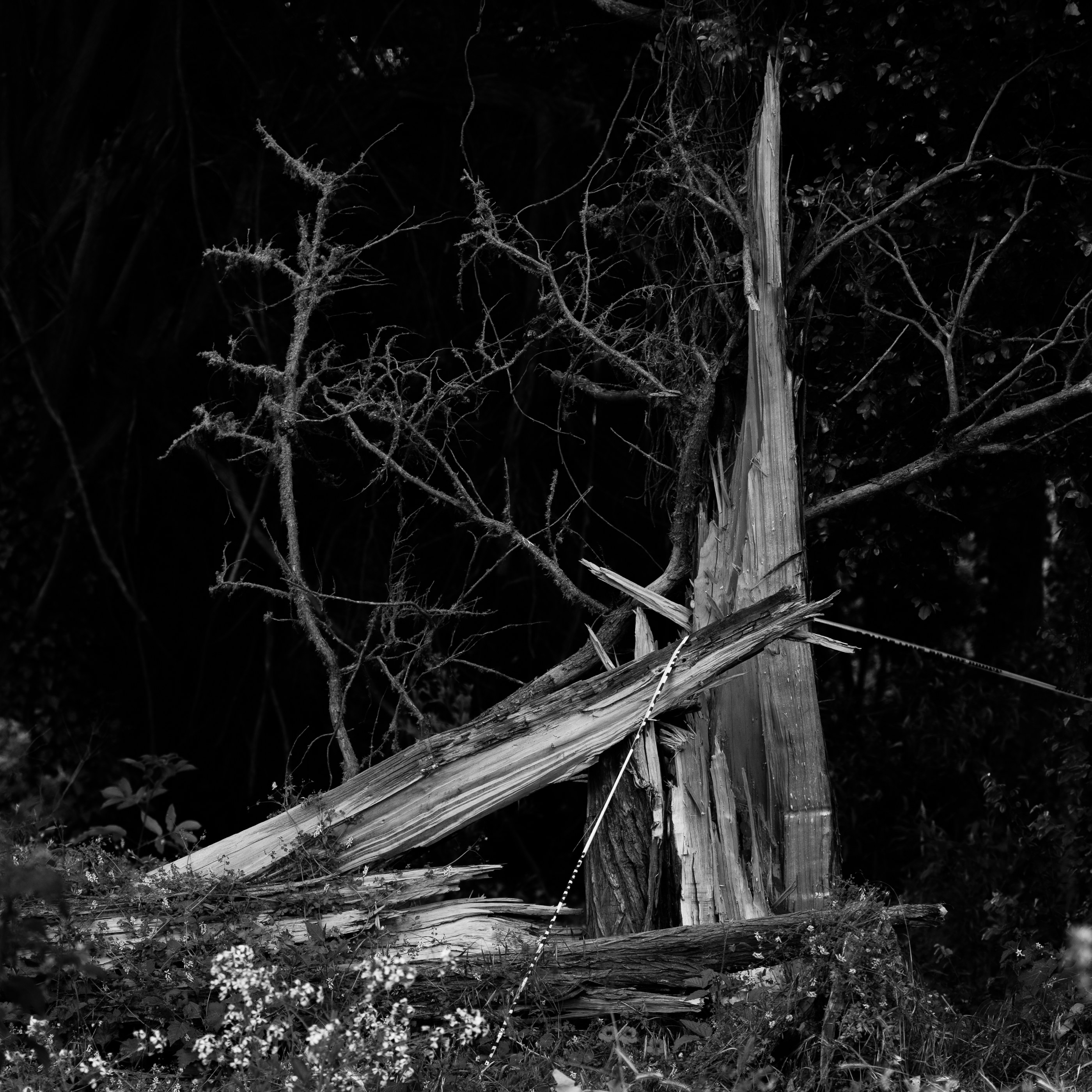NameYourVices, photograph 9