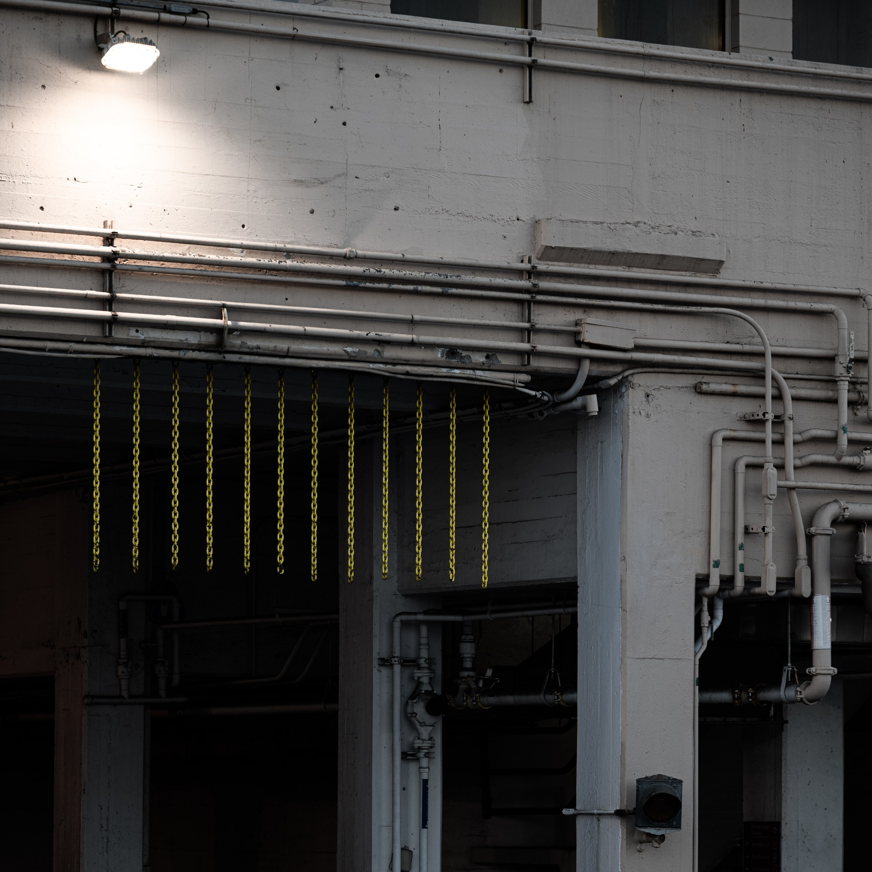 NameYourVices, photograph 1