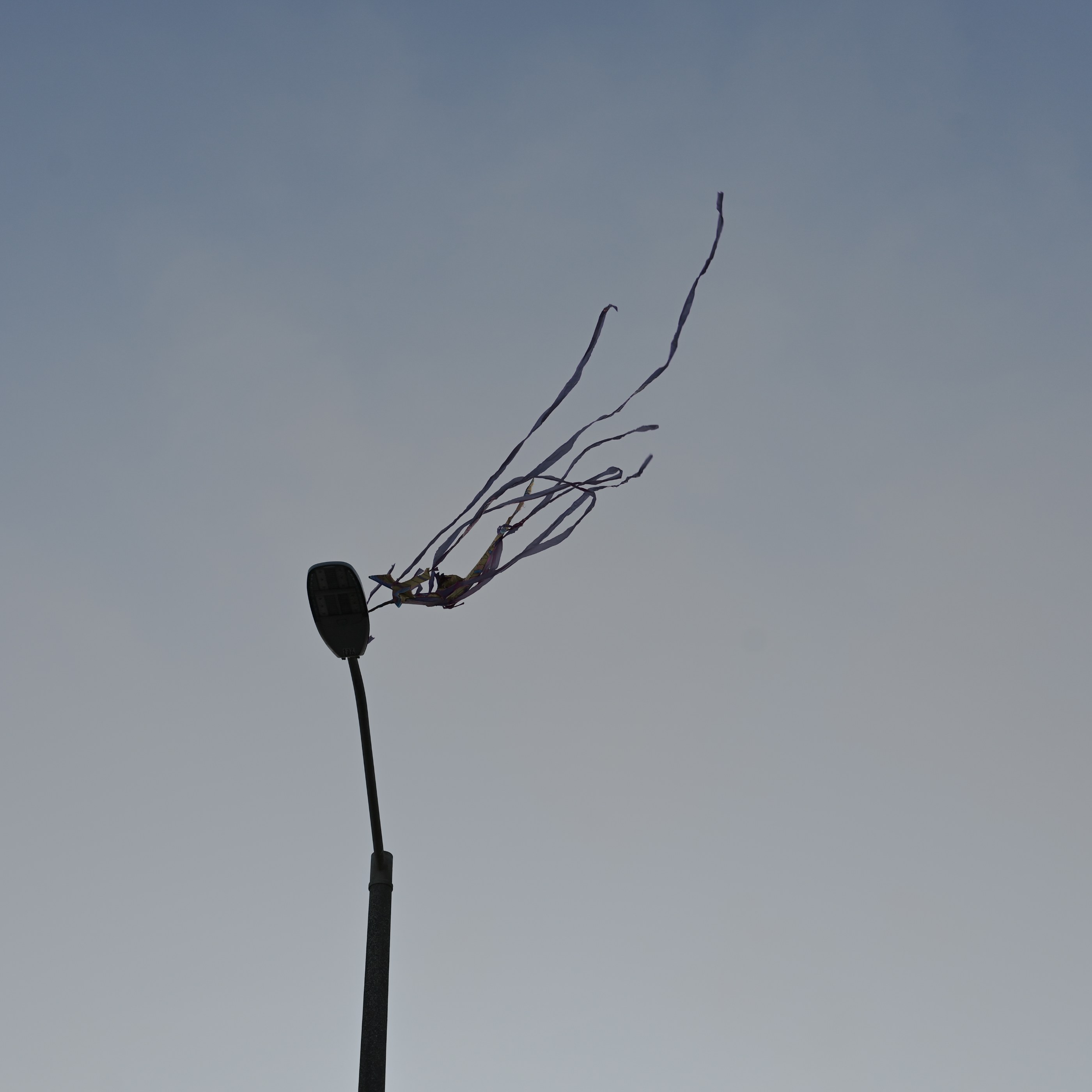 NameYourVices, photograph 6
