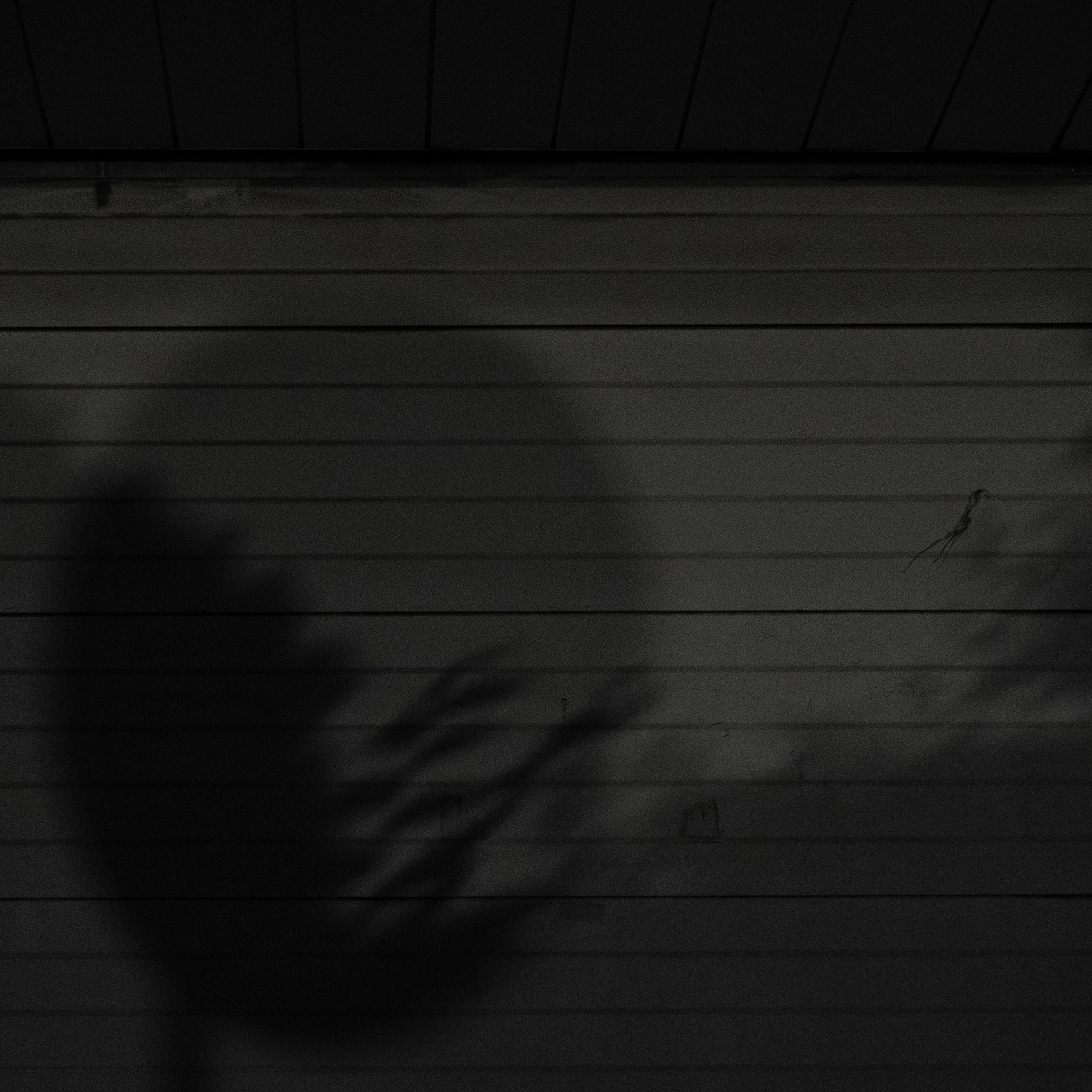 NameYourVices, photograph 13