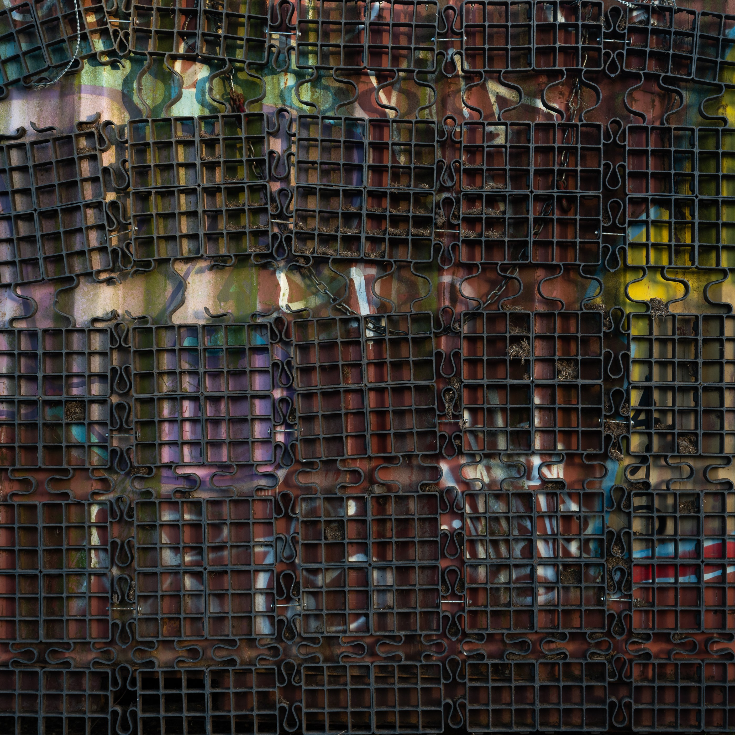 Textural Repetition, photograph 1