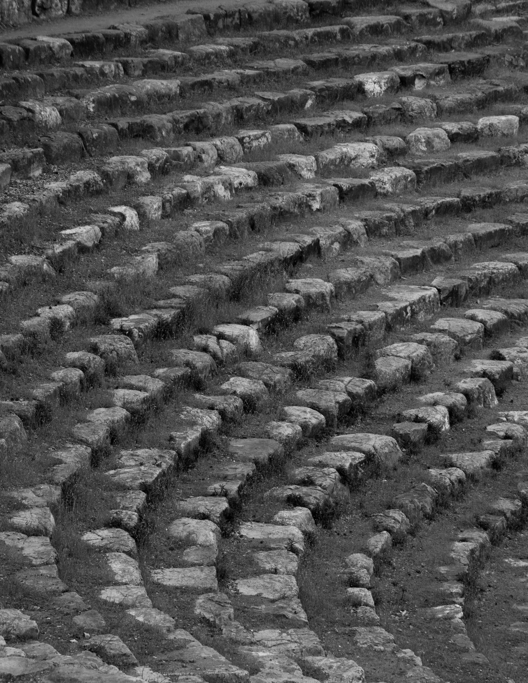 Textural Repetition, photograph 4