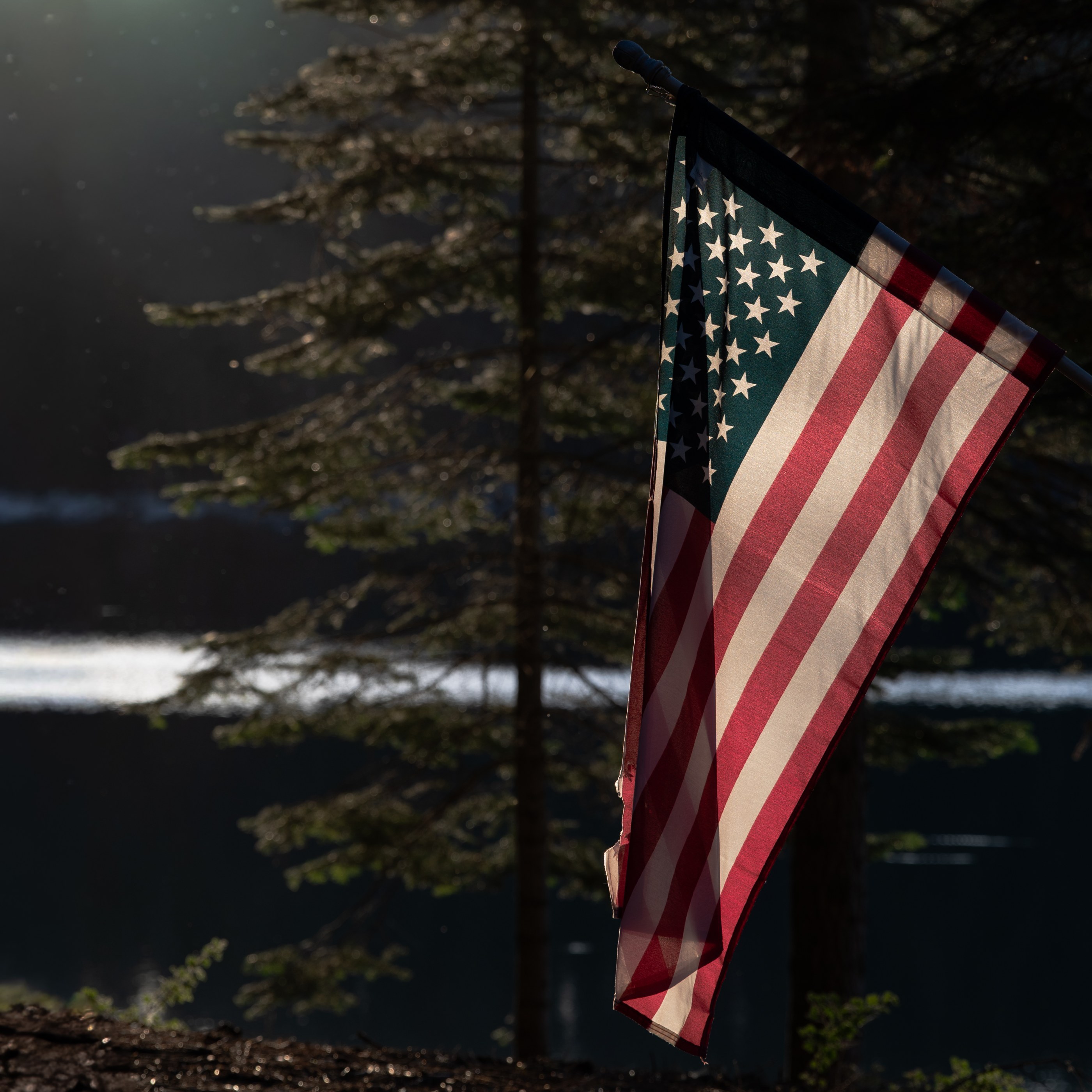 A US flag hangs on a pole near a pine tree beside a dark body of water; no sporting event, street scene, or identifiable participants are visible.